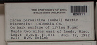 Image Associated With the Occurence